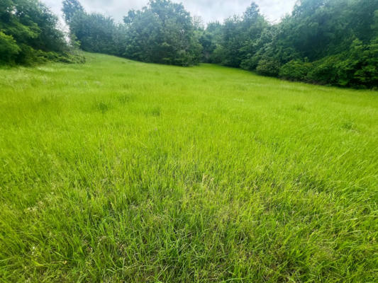 LOT 254 OVERLOOK PT, ATHENS, TX 75752, photo 4 of 11