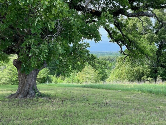 LOT 262 HIGH POINT CT, ATHENS, TX 75752, photo 2 of 12